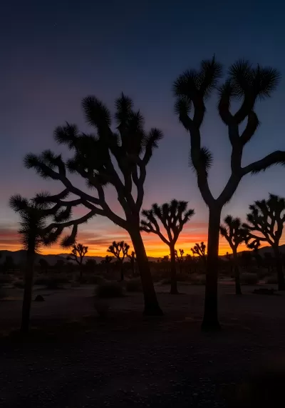 Imagen PNG para descargar